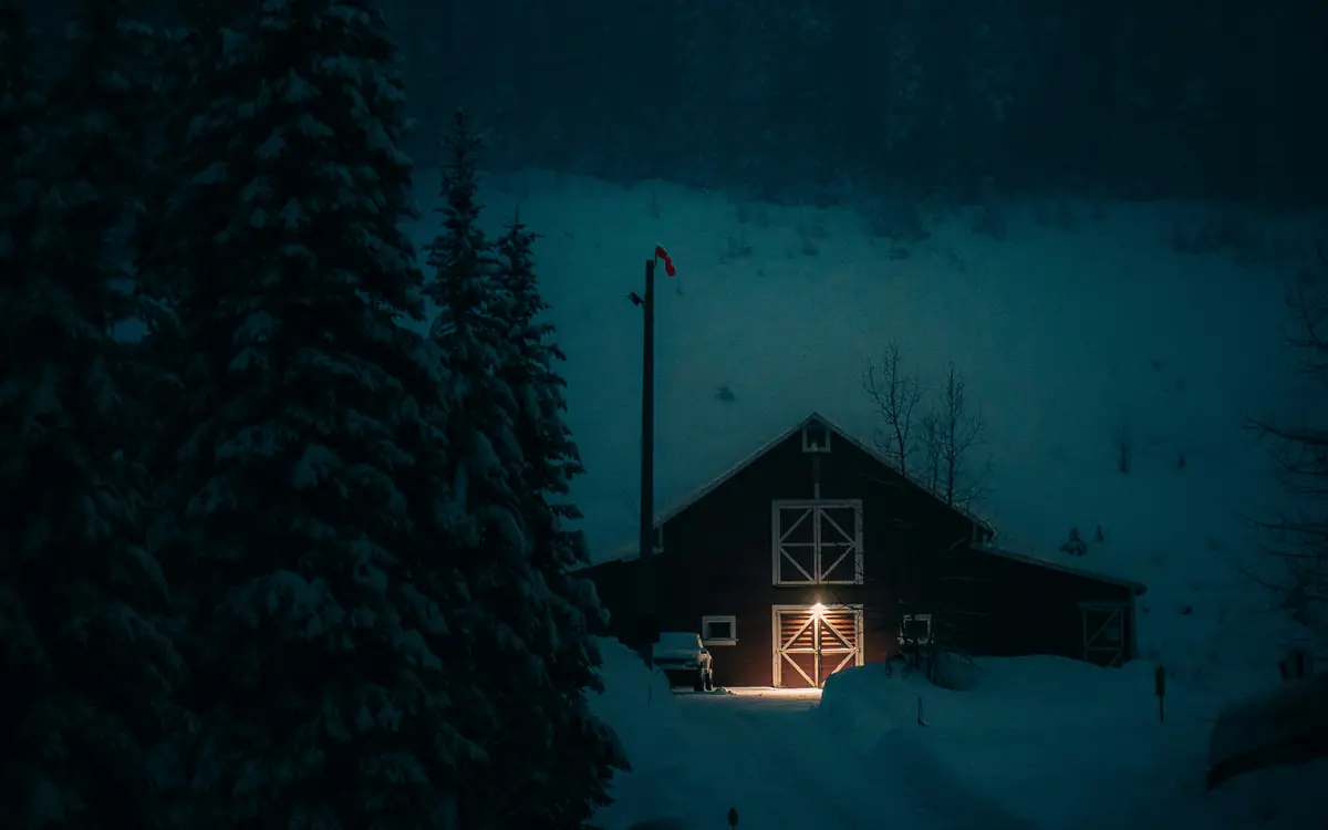 A lit cabin nestled in a snowy forest at night.