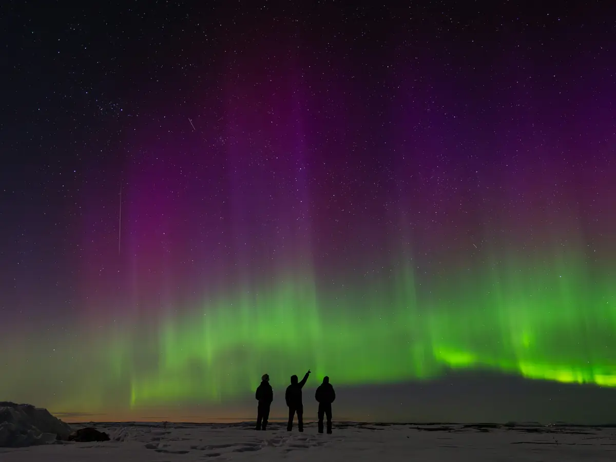Trois silhouettes au loin admirent une aurore boréale au-dessus d'une étendue enneigée.